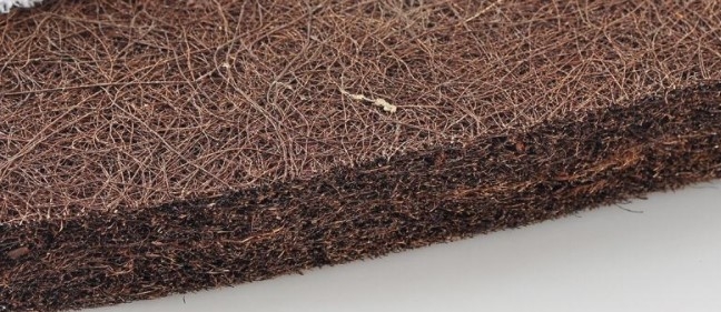 棕有山棕和椰棕，它们区别有哪些？买床垫用哪个好